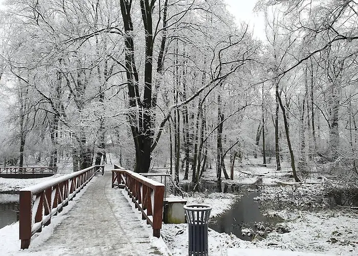 Nowoczesny Apartament Z Ogrodem